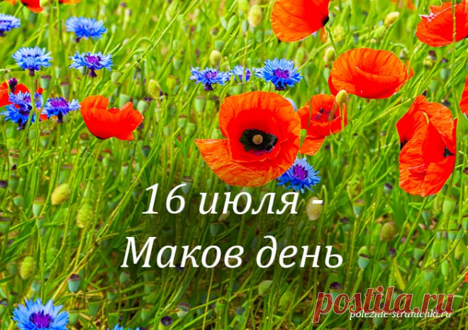 Народные приметы 16 июля в Маков день. Что не стоит делать 16 июля, а что надо сделать, чтобы деньги прибавлялись, для удачи, защиты от зла