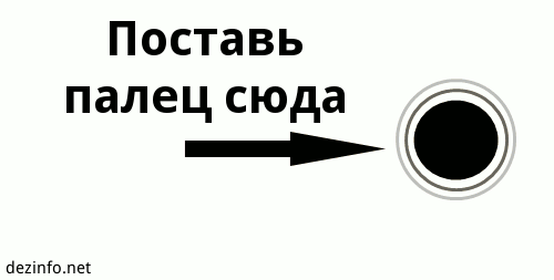Плейкаст «****»