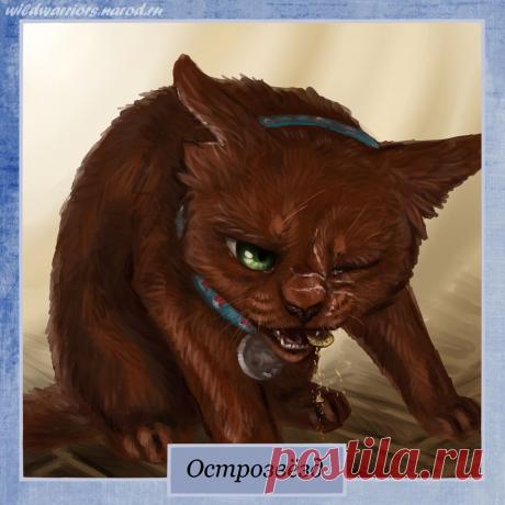 Pinestar. Warriors by Romashik-arts on DeviantArt