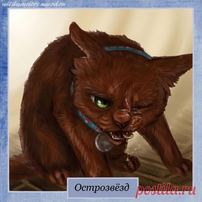 Pinestar. Warriors by Romashik-arts on DeviantArt