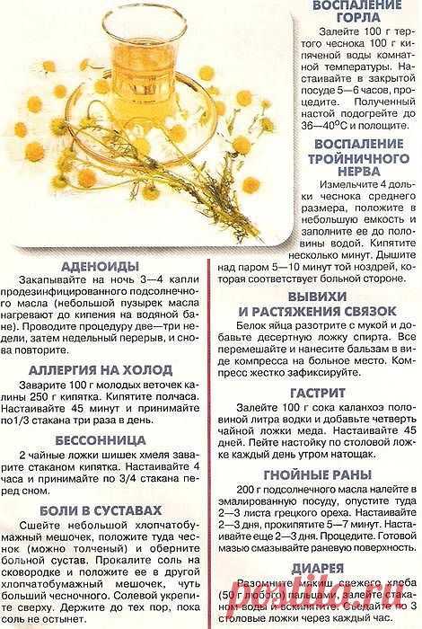 (3) Одноклассники