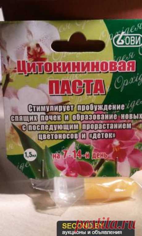 Размножение орхидеи: чудеса цитокининовой пасты