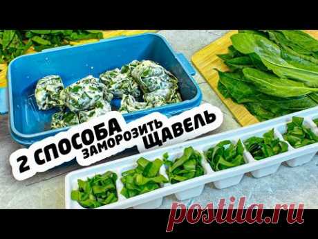 КАК ПРАВИЛЬНО ЗАМОРОЗИТЬ ЩАВЕЛЬ: 2 ПРОСТЫХ СПОСОБ