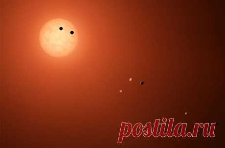 Три планеты системы Trappist-1, находящиеся в потенциально пригодной для жизни зоне, находятся так близко друг от друга, что высока вероятность наличия живых организмов на каждой из них
