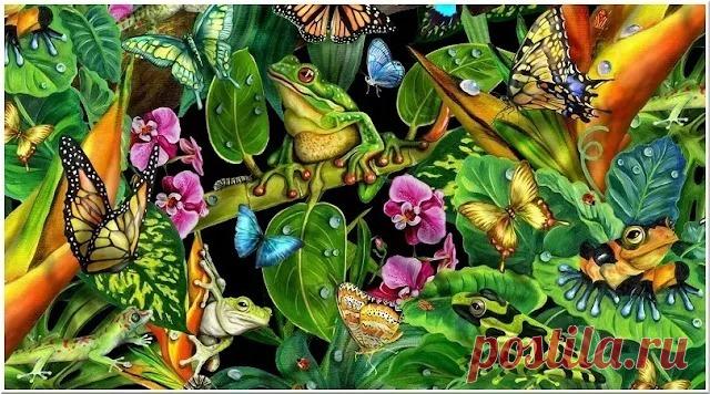 Тест - То животное, которое вы увидели первым, раскроет важные черты вашего характера/Лягушки