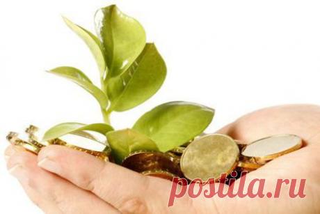 Как научиться откладывать деньги и экономить личный бюджет