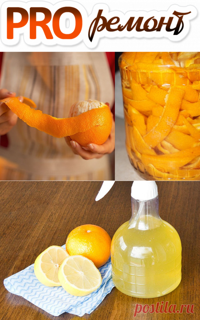 Решилась поделиться: Мытье пола и зачем я собираю цедру в стеклянную банку &#8212; Мой город