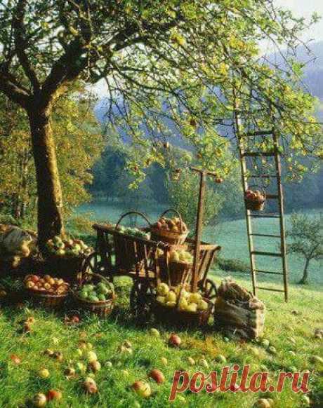 Liudmila PONOMAROVA – Google+