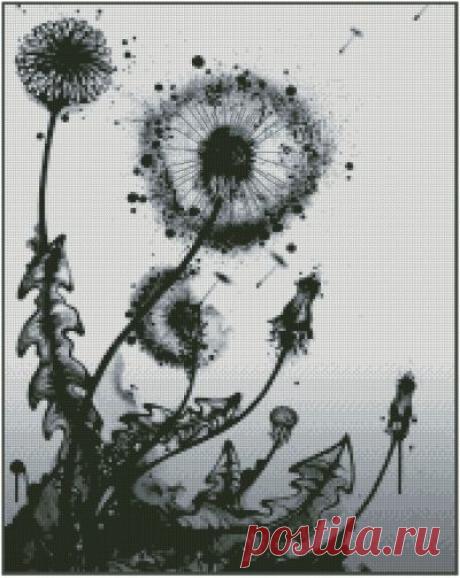 Сумрачный одуванчик.