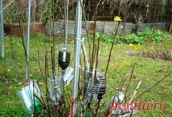 WBXYZ79QCqA.jpg (604×411)