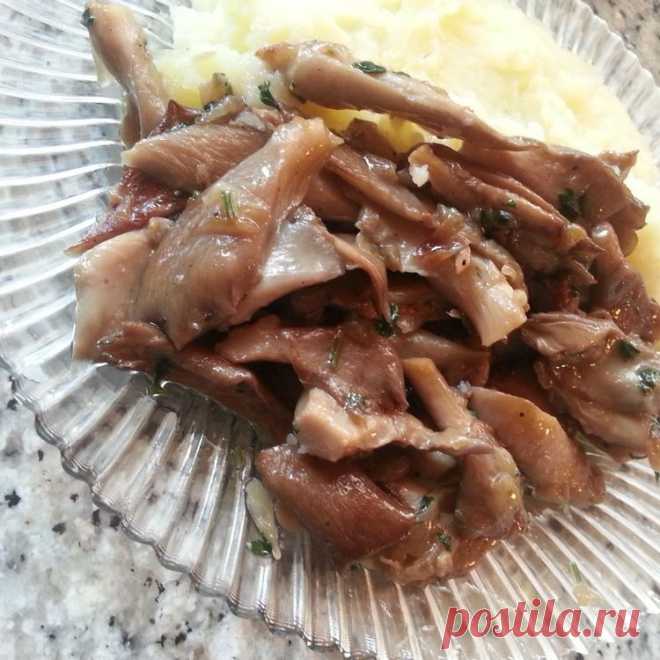 Жареные вешенки 


Люблю грибы. Вешенки не просто сделать вкусными. Но по этому рецепту они будут отличным блюдом.Очень сочетаются с картофельным пюре!
ИНГРЕДИЕНТЫ

Вешенки по вкусу
Лук 2 шт
Зелень петрушки
Соль и пе…