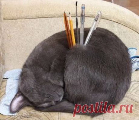 (3) Мой Мир@Mail.Ru