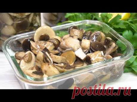 Самые вкусные Маринованные грибы на зиму, они как свежие! Знакомая медик раскрыла все секреты!