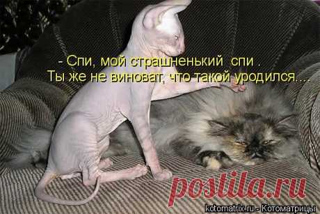 Популярные записи по теме «животные»