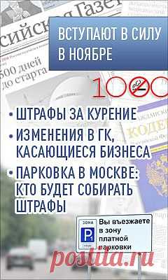 Как правильно обрезать малину — Александр Хабургаев — Российская газета