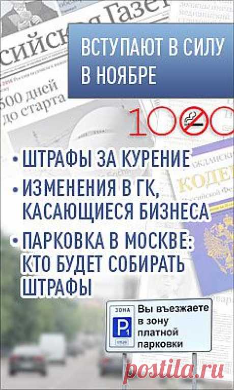 Как правильно обрезать малину — Александр Хабургаев — Российская газета