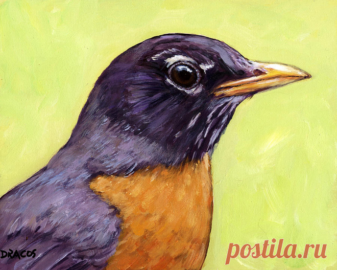 Profile of Robin Bird on Light Green by Dottie Dracos Profile of Robin Bird on Light Green Painting by Dottie Dracos