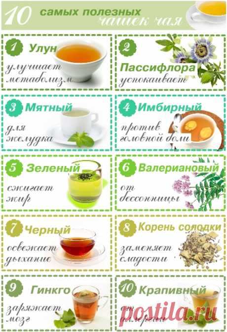 10 самых полезных чашек чая