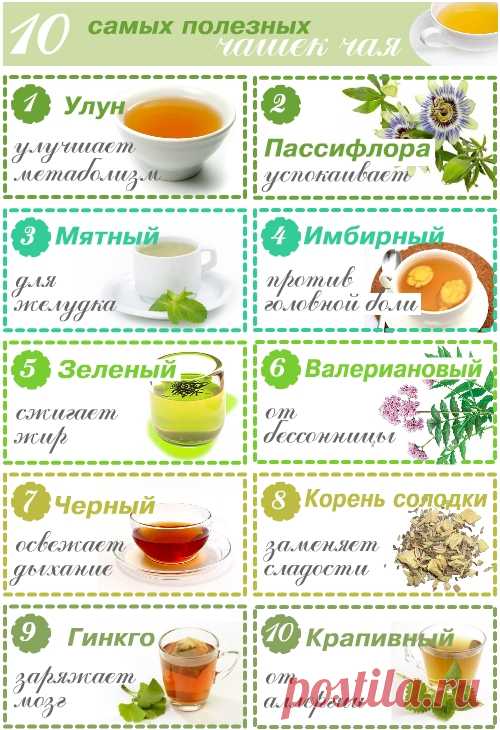 10 самых полезных чашек чая