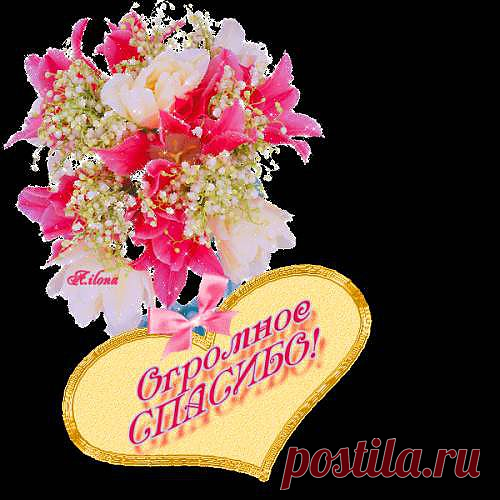 ЗАВЕТНАЯ ТЕТРАДЬ /Продолжение/.
