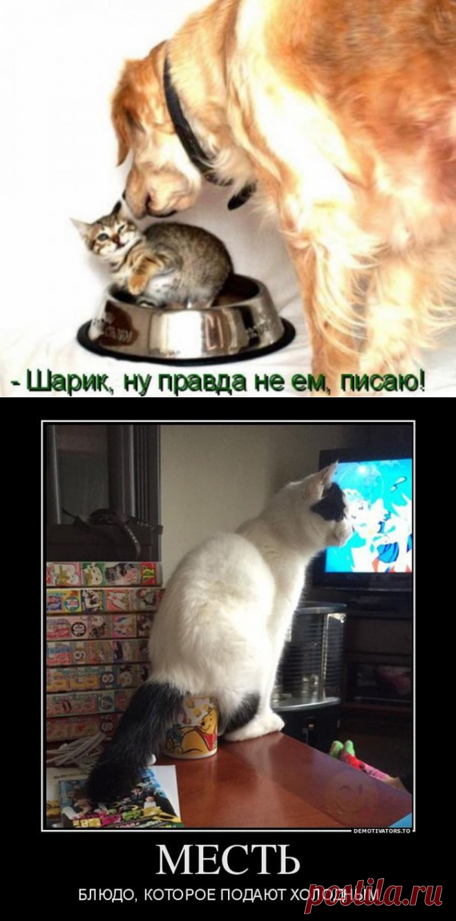Месть животных / Питомцы