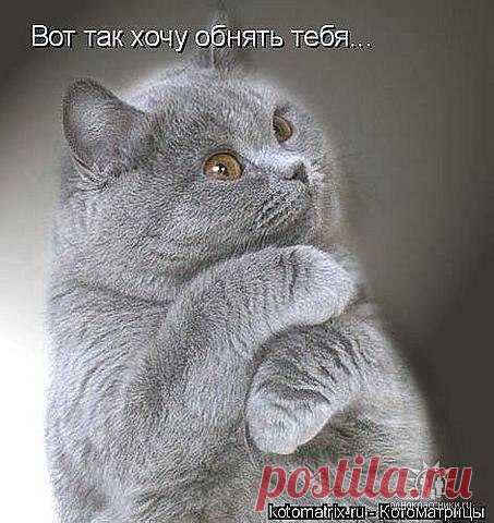 • Лучшие картинки и открытки ► vk.com/fotomimi ◄