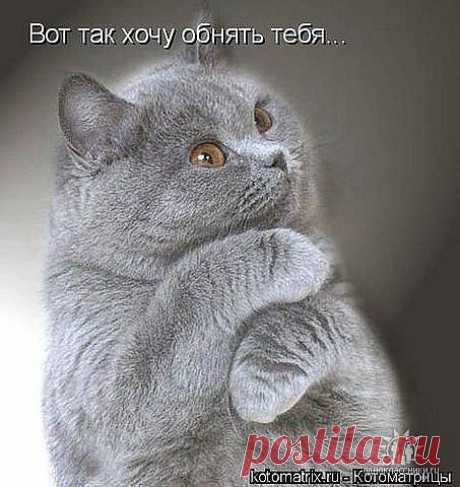 • Лучшие картинки и открытки ► vk.com/fotomimi ◄