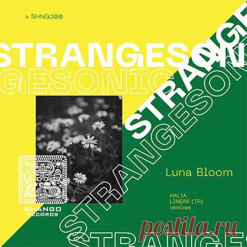 STRANGESONIC – Luna Bloom [SHNG300] - HypeDJ.top