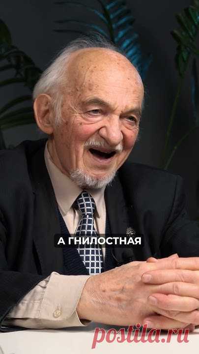 Что происходит с белками, которые не были должным образом расщеплены в желудке? Эти непереваренные фрагменты могут попасть в толстый кишечник, где они начина...