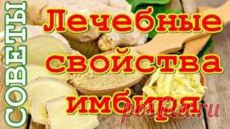 Лечебные свойства имбиря, о которых не все знают