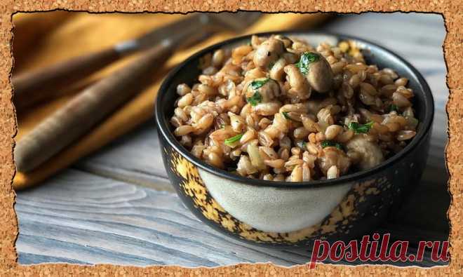 При регулярном употреблении блюд из Полбы замечено