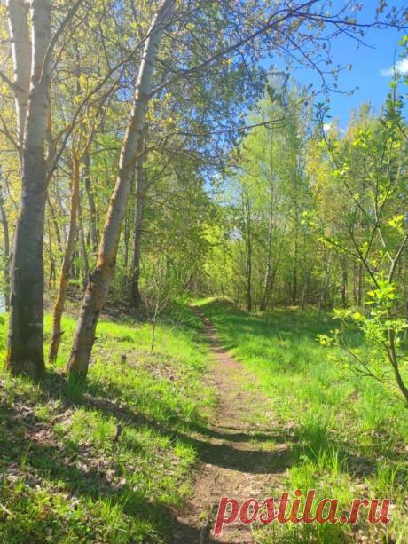 "Лесная амнистия" – кто имеет право на землю? Что важнее: запись в ЕГРН и в старых документах или данные лесного реестра? Рассмотрим ситуацию:На протяжении поколений семья владеет земельным участком, доставшимся еще от колхоза и райсовета.Летом от жары ...