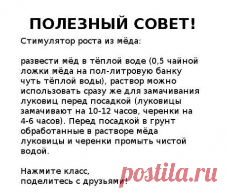 (51) Одноклассники