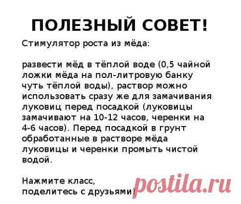 (51) Одноклассники
