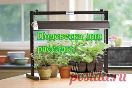 Подсветка Для Рассады
https://s-sergeev.ru/uncategorized/podsvetka-dlya-rassady.html