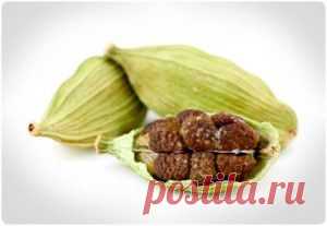 Кардамон - царь специй