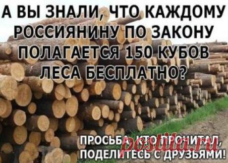 А ВЫ ЗНАЛИ, ЧТО КАЖДОМУ РОССИЯНИНУ ПО ЗАКОНУ ПОЛАГАЕТСЯ 150 КУБОВ ЛЕСА БЕСПЛАТНО?

Каждому россиянину по закону полагается 150 кубов леса БЕЗПЛАТНО на строительство дома каждые 25 лет и еще по 50 кубов леса каждые 5 лет на ремонт дома.

Вот чем всегда была богата наша страна, так это лесами. Видимо, поэтому в «Лесном кодексе» РФ предусмотрена возможность выделения гражданам леса для строительства дома бесплатно. Казалось бы открывается реальный шанс сэкономить на строитель...