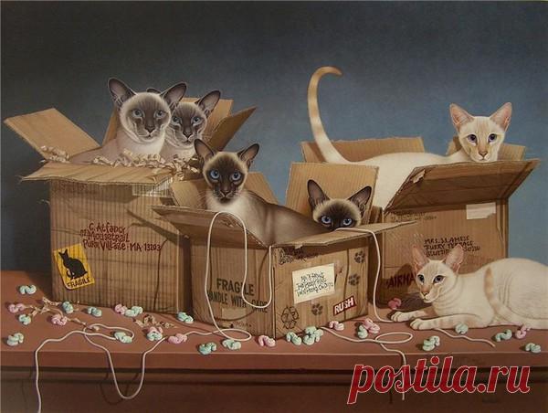 Художник Braldt Bralds. Котоживопись | Лолкот.Ру