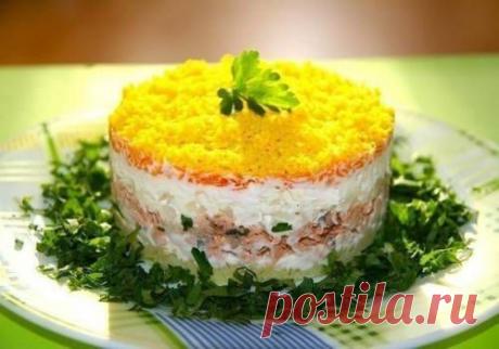 Салат мимоза рецепт с консервой / Простые рецепты