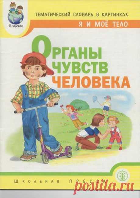 #книги@raz.deti
Мое тело. Серия дидактического материала. Тематический словарь в картинках.