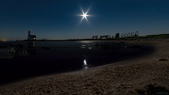 (5) Tumblr