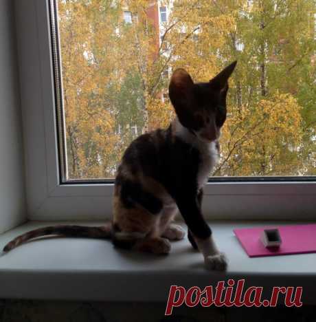 Маленькая Осень!!!