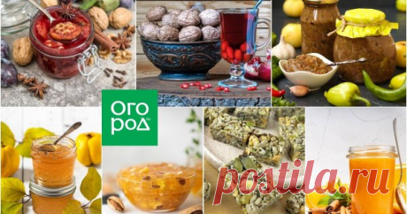 Заготовки с орехами на зиму – самые лучшие рецепты Орехи в основном принято есть свежими, и это далеко не главный компонент в составе сладких и соленых консервов на зиму. Но если вы добавите горсточку-другую в варенье, джем, аджику и даже чай, то эти заготовки станут еще вкуснее. А еще можно сделать козинаки.