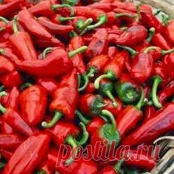 Kofetime: Преждевременное старение . Как избежать.