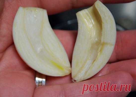 Она разрезала чеснок и вынула сердцевинку… Когда ты поймешь, почему, непременно сделаешь то же самое!