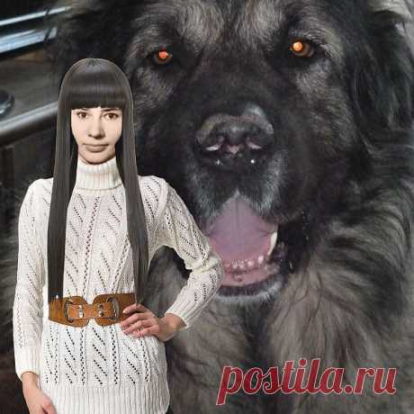 Я и Сократ