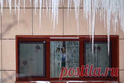 В российском городе решили отстреливать сосульки. Жители Нижнего Новгорода решили бороться с сосульками на крышах необычным способом. Граждане начали стрелять по льду из ружья. Свидетель борьбы с наледью поделился съемкой из окна своего дома. На кадрах видно, как мужчина во дворе целится куда-то чуть выше окон многоэтажки. За стрелком наблюдает коммунальщик.
