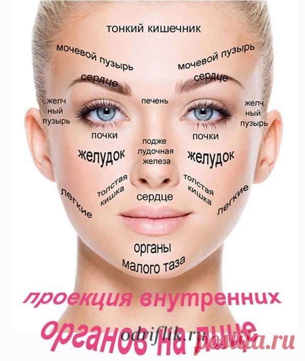 Диагностика заболеваний по лицу | odriflik