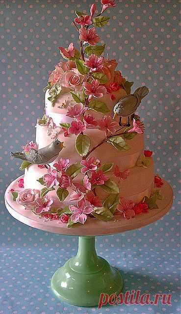 pretty cake | baking