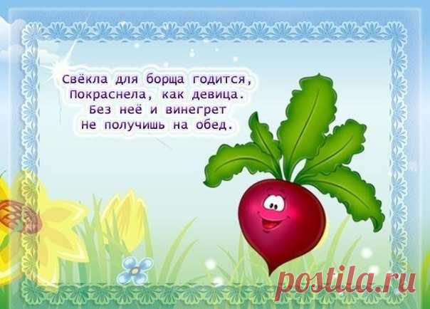Стихи про овощи